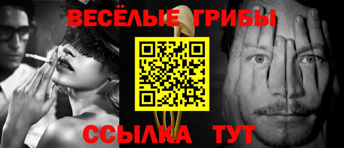 Шелехов  Псилоцибиновые грибы Psilocybine cubensis  где купить наркоту  Вход с VPN 